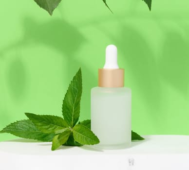 White glass bottle with pipette and mint leaves, container for aromatic oils and cosmetics