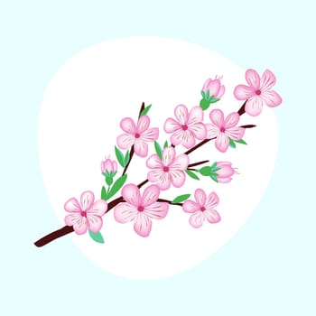 Cherry flower spring blossom branch