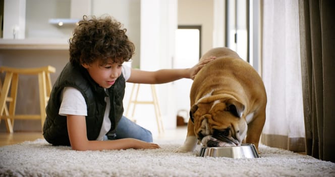 Food, dog and child and feeding in apartment for love, bonding and friends. Animal, happy and pets with young boy and puppy eating on floor of family home for affectionate, responsible and learning.