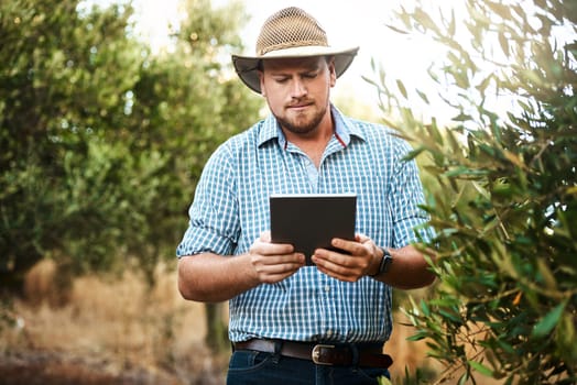 Technology helps to ease his workload. a farmer using a digital tablet working in a vineyard.