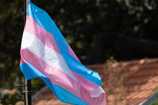A transgender flag outdoors at the pride month