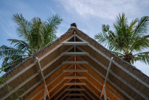 Roof of a building with palm trees