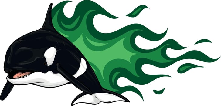 vector illustration of Killer Whale with flames
