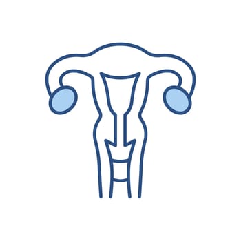 Uterus Vector Line Icons