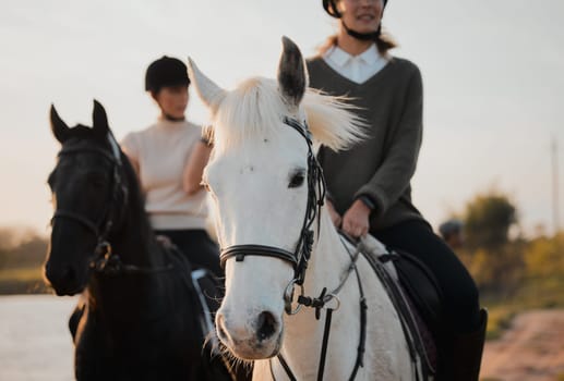 Horse ride, freedom and hobby with friends in nature on horseback by the lake during a summer morning. Countryside, equestrian and female people riding outdoor together for travel, fun or adventure.