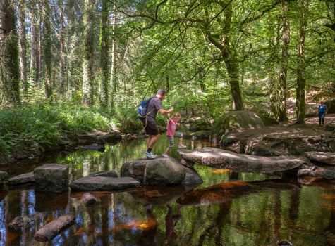 boulders offer possibility to cross forest brook in Parc naturel régional d'Armorique near huelgoat