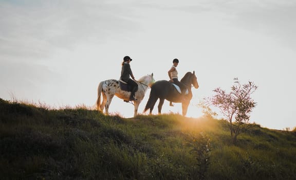 Horse riding, sunset or hobby with friends the countryside on horseback looking at the view during a summer morning. Nature, equestrian and female riders outdoor together for travel fun or adventure.