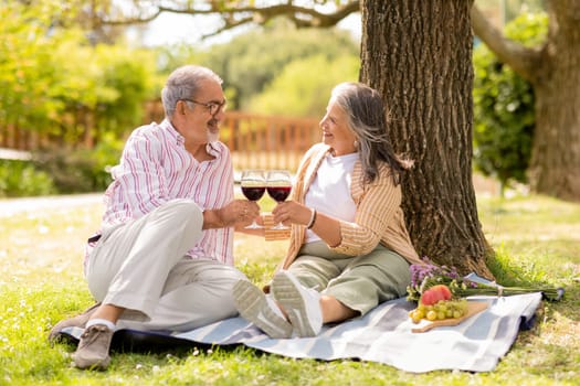 Happy mature european husband and wife cheers with glasses of wine, enjoy picnic together in park