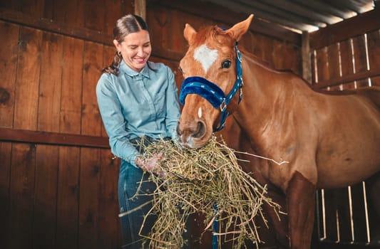 Woman, hay and feeding horse in stable, barn and rancher of farming animals in sustainable shed. Happy female farmer, owner and care for equestrian livestock, hungry brown stallion and farm pet.