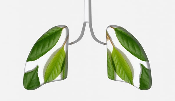 Green leaves and a cut-out lung organ. Concept of health, clean air, and reducing harmful emissions into the atmosphere