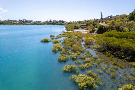 Drone Aerial Over Mangroves To Boat Ramp
