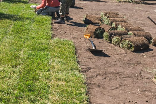 Laying sod for new garden lawn - turf laying concept