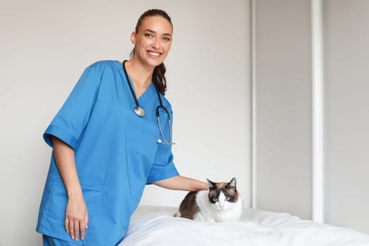 Professional Veterinarian Lady Examining Cat During Checkup At Vet Clinic