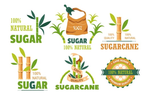 Sugar cane product sweet condiment isolated icons
