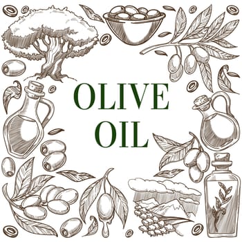 Olive oil fruits branch sketches frame poster