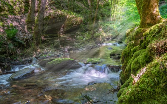 Endert creek, Eifel area, Rhineland-Palatinate, Germany