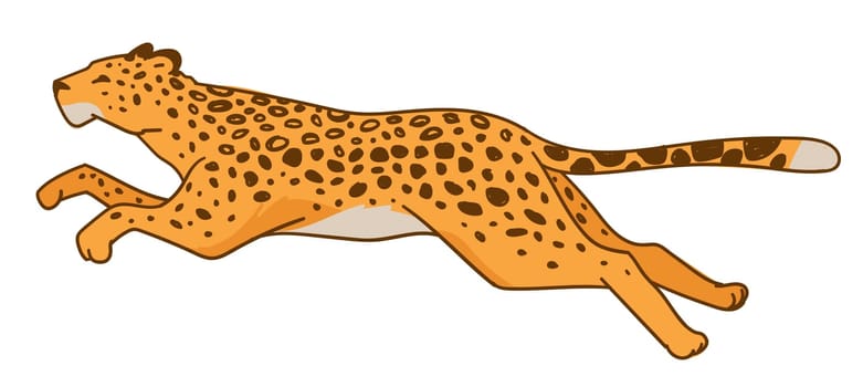 Running leopard or speedy cheetah predator animal