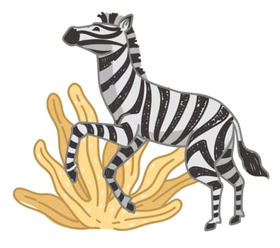Zebra on field, mammal with stripped fur on coat