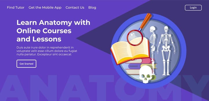 Learn anatomy with online courses and lessons