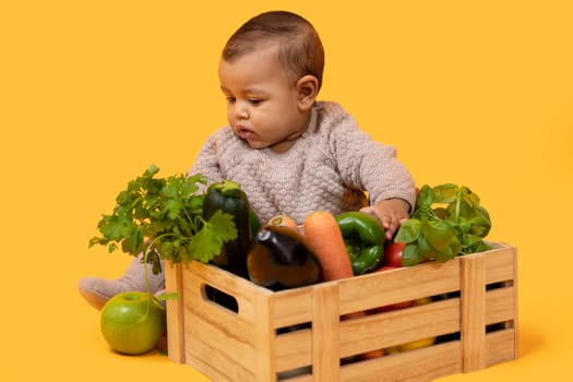 Little Baby Sitting Near Box With Garden Harvest, Yellow Background