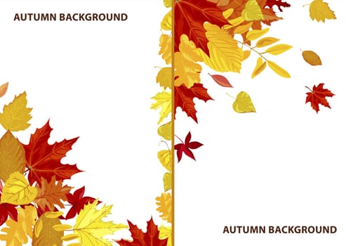 Autumn background, fall season frame with leaf