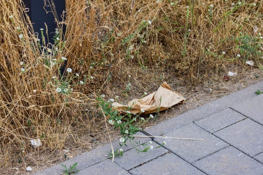 A brown paper bag pollutes the environment on the sidewalk