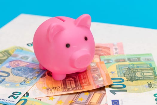 Pink Piggy Bank on the Euro Banknotes