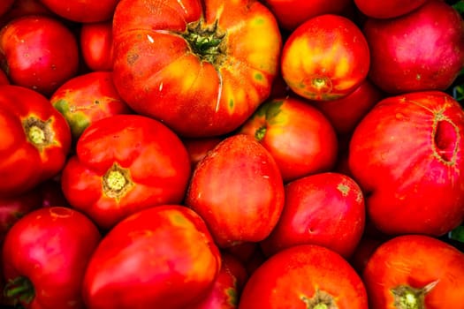 Farmers market natural ripe tomatoes. Fresh red tomato