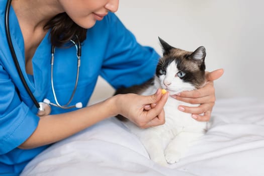 Veterinarian woman giving to cat prescribed pill at clinic, cropped