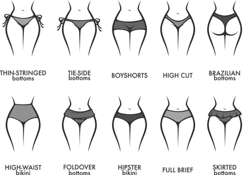 Woman panties models and types of clothes vector
