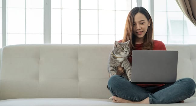 Young asian businesswoman working at home using laptop computer while caressing pet cat