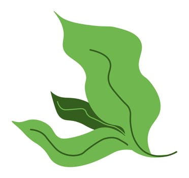 Leaves and botany, ecology and freshness vector