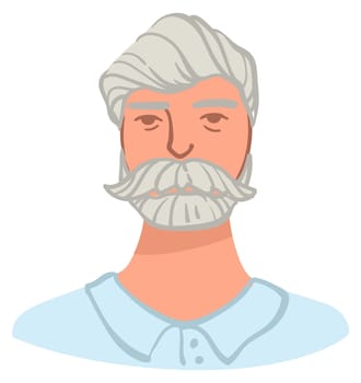 Male character with grey hair and beard, man with serious facial expression posing for photo or portrait. Isolated senior grandfather with mustache wearing formal clothes. Vector in flat style