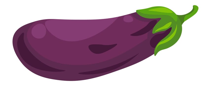 Aubergine or eggplant vegetable, organic veggies