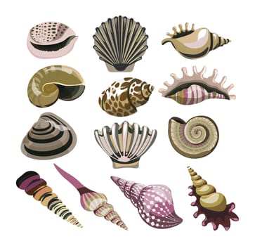 Shells and mollusks, seashell and conch decor