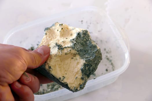 The harms of consuming green moldy cheese,