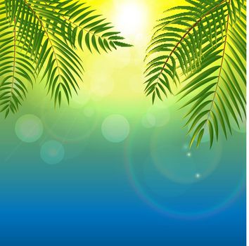 Beautifil Palm Tree Leaf  Silhouette Background Vector Illustration