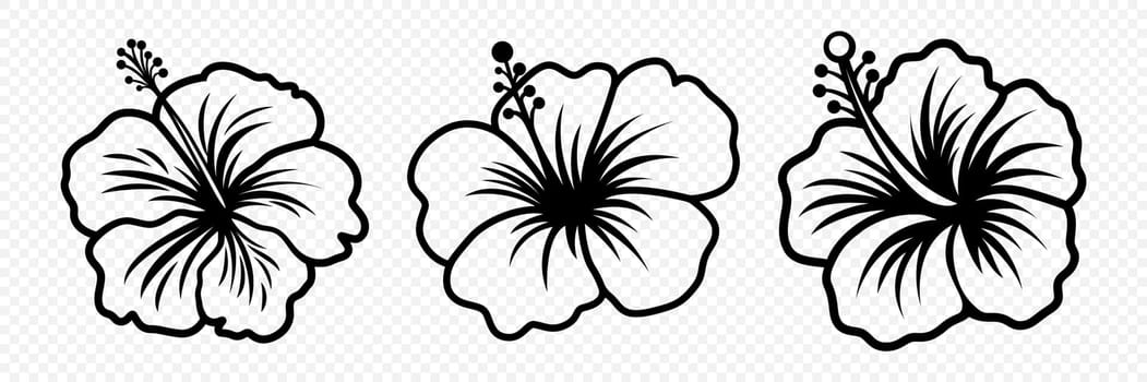 Vector Monochrome Outline Ink Hibiscus. Chinese Rose Set. Floral Design Elements. Hibiscus Flower Linear Black and White Icon, Tattoo. Hibiscus Flowers Isolated.