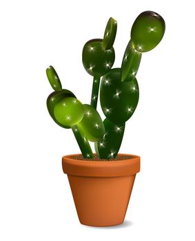 Cactus in Flowerpot Vector Illustration