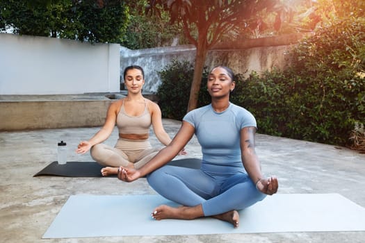 Calm young arab and black women athletes in sportswear practice yoga, meditate in lotus position with closed eyes