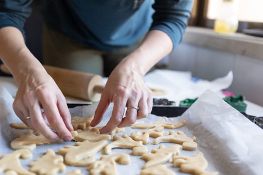 Baking cookies - a woman lays out the dough in the shape of dinosaurs on a baking sheet