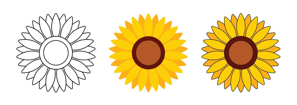 Sunflower head illustration for greeting card decorative and design.