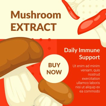 Mushroom extract, daily immune support banner
