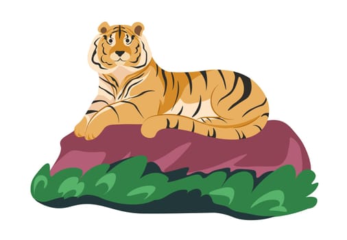 Tiger animal sitting on rock, wildlife nature