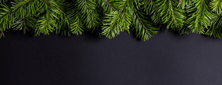 Christmas fir tree on black background