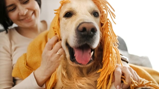 Golden retriever dog at home alone