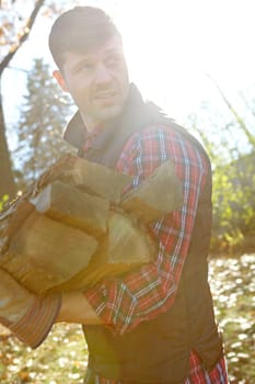 I think theres enough here...A handsome lumberjack holding a pile of wood he has collected. Young man in the forests collecting wood for winter.