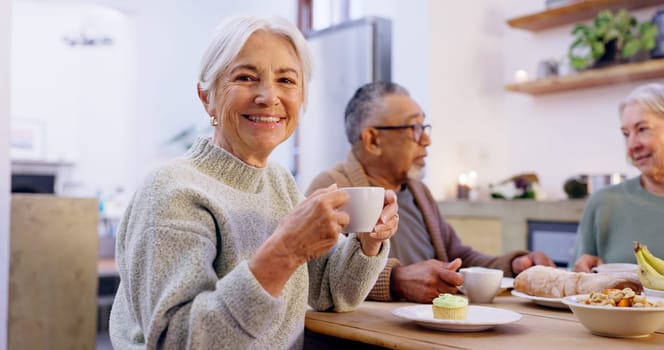 Portrait, tea party and a group of senior people in the living room of a community home for a social. Friends, smile or retirement with elderly men and women together in an apartment for a visit