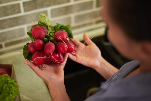 Close-up fresh organic radish in the hands of a housewife standing by kitchen counter