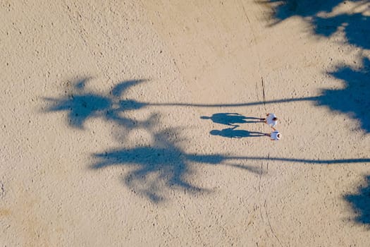 drone view from above at a couple of men and woman walking on the beach with palm trees